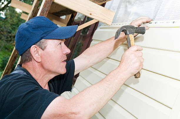 Best Siding Painting and Refinishing  in Orland, CA