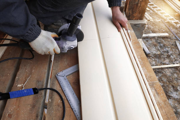 Best Fascia and Soffit Installation  in Orland, CA